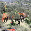 1st Paintball tournament at Paintball Crete on 28-29 March 2009